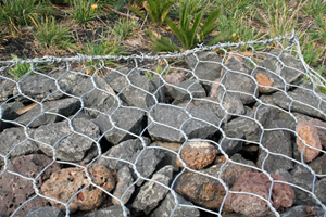 What Are Gabions Used for